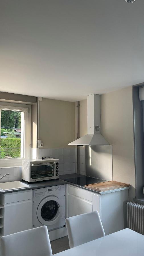 Appartement La Fourmi Verte Bruyeres 外观 照片